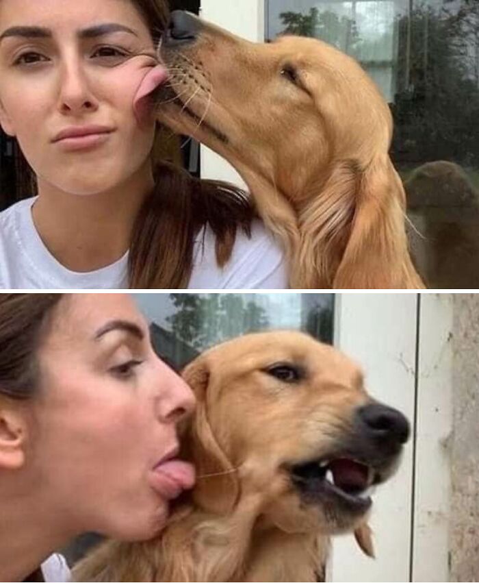 Dogs Being Dogs: 85 Candid Moments From This Page