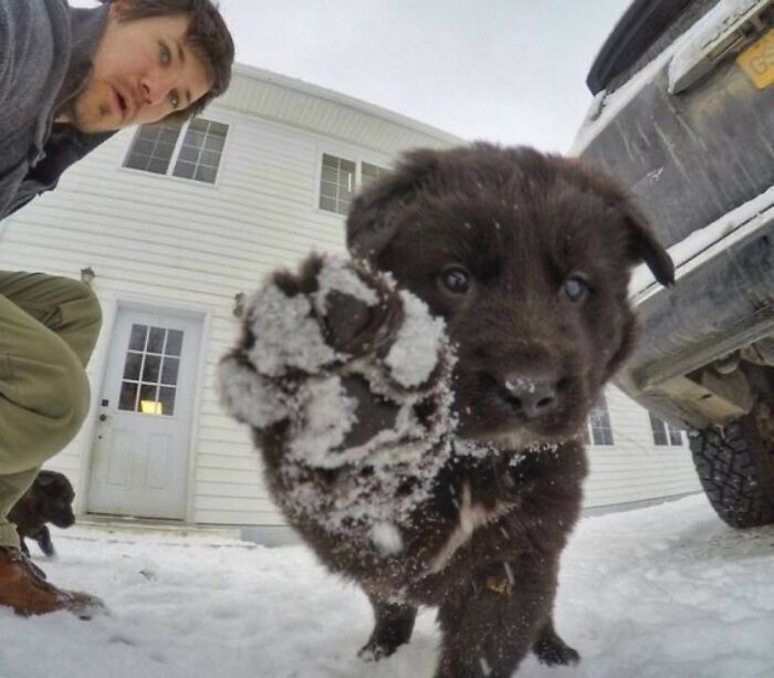 Dogs Being Dogs: 85 Candid Moments From This Page