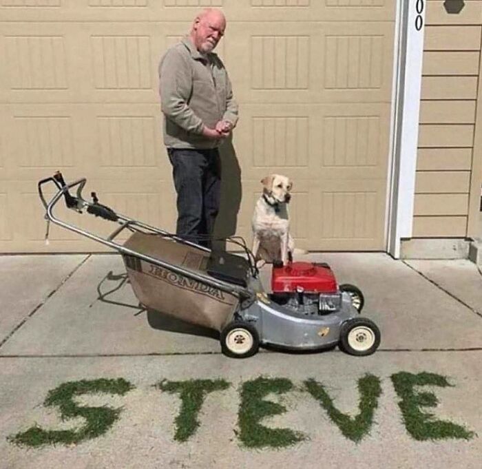 Dogs Being Dogs: 85 Candid Moments From This Page