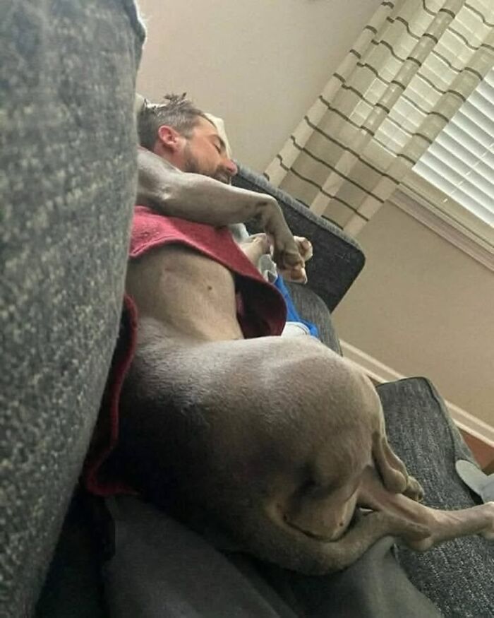 Dogs Being Dogs: 85 Candid Moments From This Page