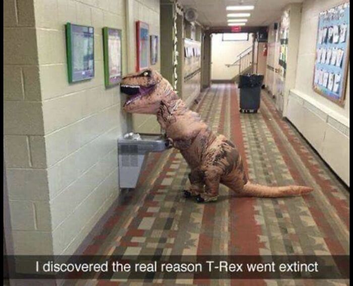 20 Photos So Strange You Might Want To Unsee Them 20 Photos So Strange You Might Want To Unsee Them