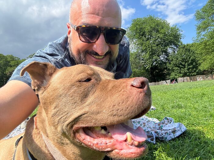 This Rescue Dog Was Returned To The Shelter With Stage 4 Cancer, But Her Old Foster Reopened His Home