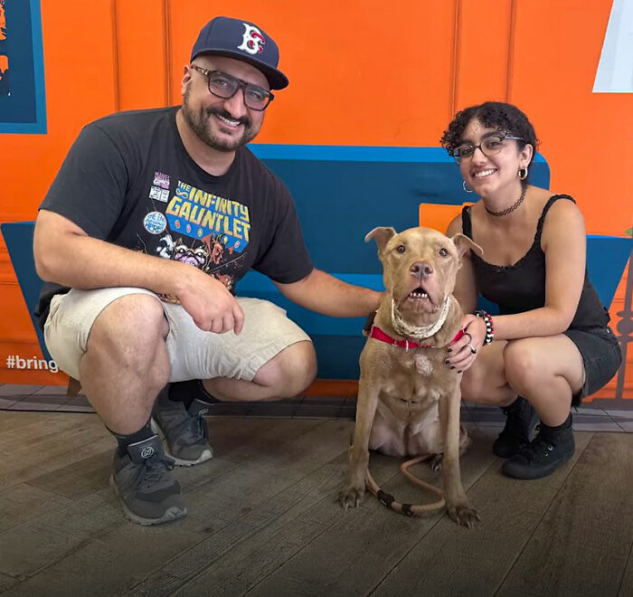 This Rescue Dog Was Returned To The Shelter With Stage 4 Cancer, But Her Old Foster Reopened His Home