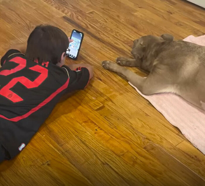 This Rescue Dog Was Returned To The Shelter With Stage 4 Cancer, But Her Old Foster Reopened His Home