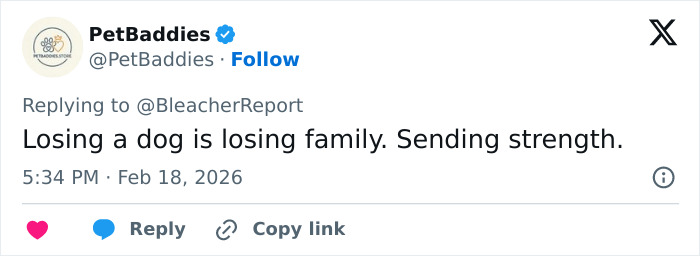 Following Fifth Surgery On Broken Leg, Lindsey Vonn Speaks Out And Makes Heartbreaking Admission