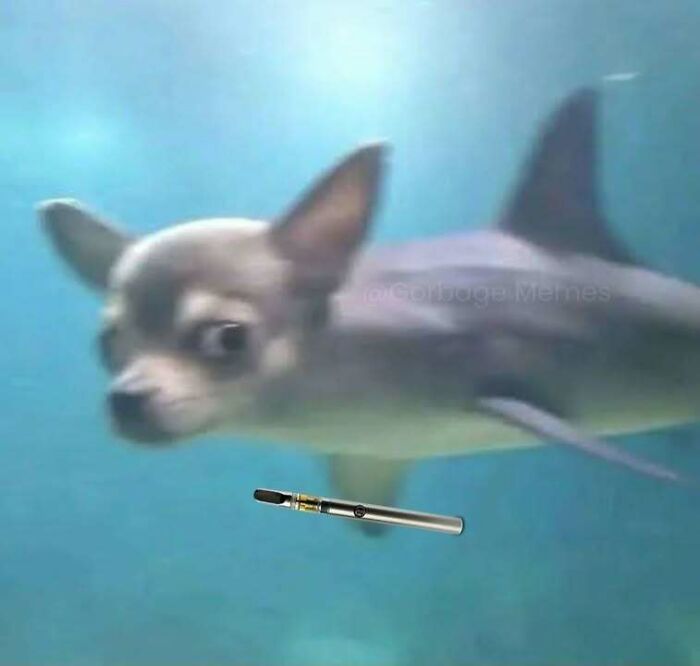 82 Hilarious Memes That Don’t Explain Themselves And Never Will 82 Hilarious Memes That Don’t Explain Themselves And Never Will