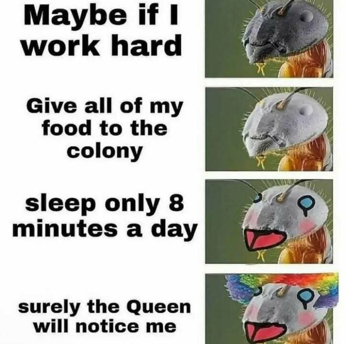 82 Hilarious Memes That Don’t Explain Themselves And Never Will 82 Hilarious Memes That Don’t Explain Themselves And Never Will