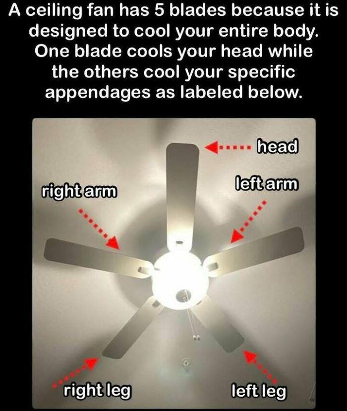 82 Hilarious Memes That Don’t Explain Themselves And Never Will 82 Hilarious Memes That Don’t Explain Themselves And Never Will