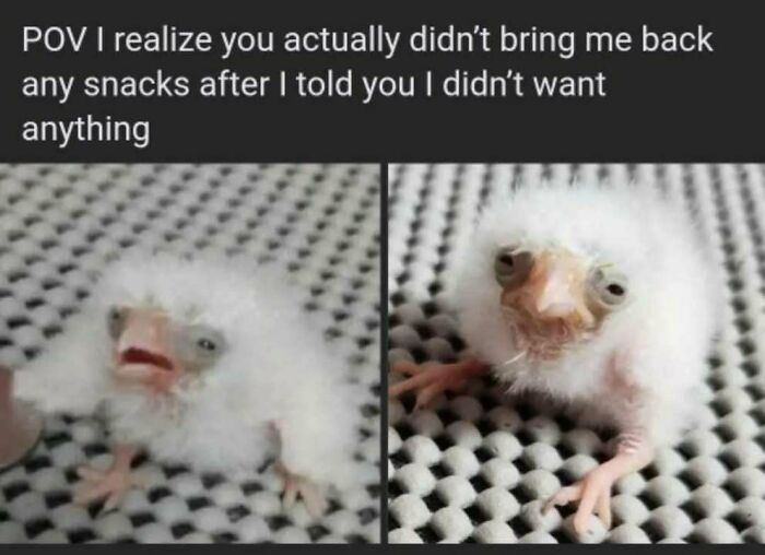 82 Hilarious Memes That Don’t Explain Themselves And Never Will 82 Hilarious Memes That Don’t Explain Themselves And Never Will