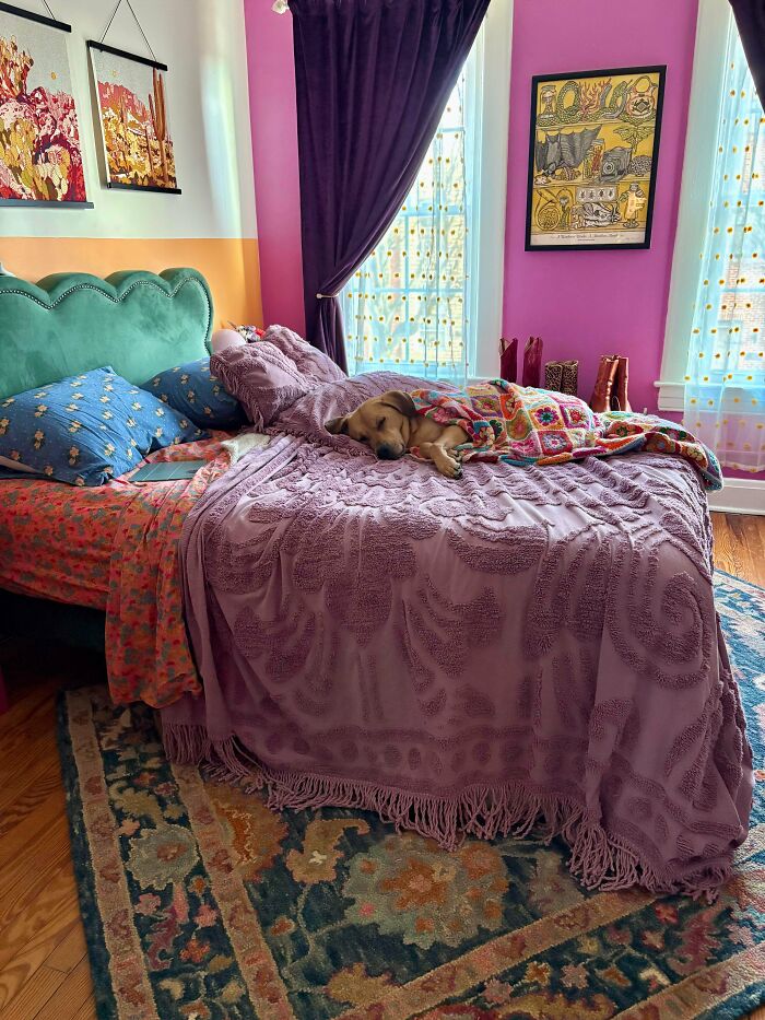 131 Times People Embraced ‘More Is More’ And Decked Out Their Homes (New Pics) 131 Times People Embraced ‘More Is More’ And Decked Out Their Homes (New Pics)