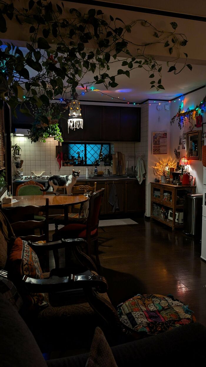 131 Times People Embraced ‘More Is More’ And Decked Out Their Homes (New Pics) 131 Times People Embraced ‘More Is More’ And Decked Out Their Homes (New Pics)