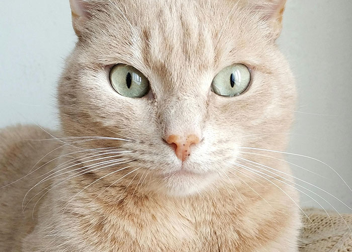 20 ‘Today I Messed Up Stories’ That Might Make You Feel Better About Your Own Life 20 ‘Today I Messed Up Stories’ That Might Make You Feel Better About Your Own Life