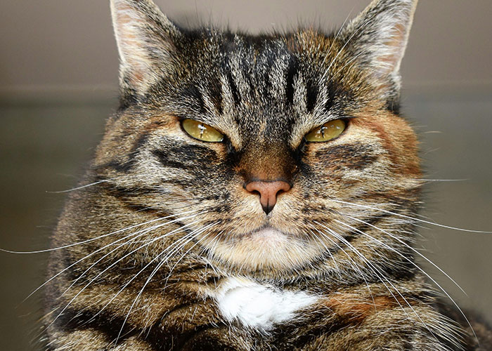 20 ‘Today I Messed Up Stories’ That Might Make You Feel Better About Your Own Life 20 ‘Today I Messed Up Stories’ That Might Make You Feel Better About Your Own Life