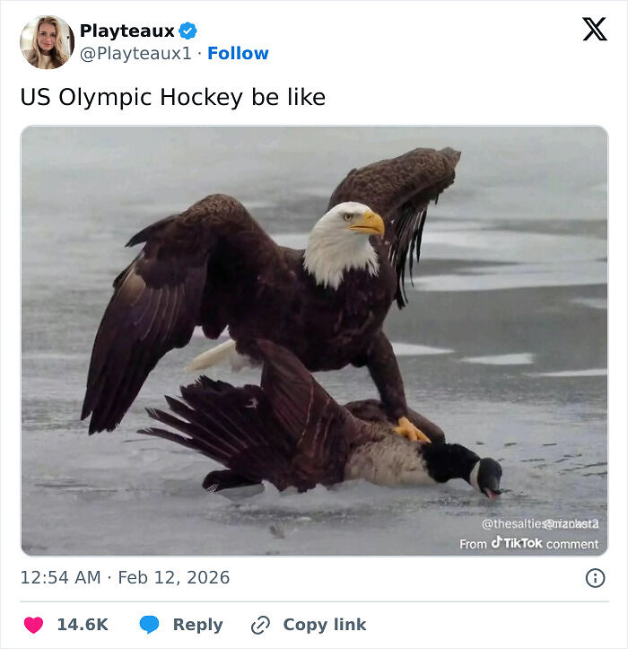 55 Of The Most Savage And Funny Tweets About The 2026 Winter Olympics
