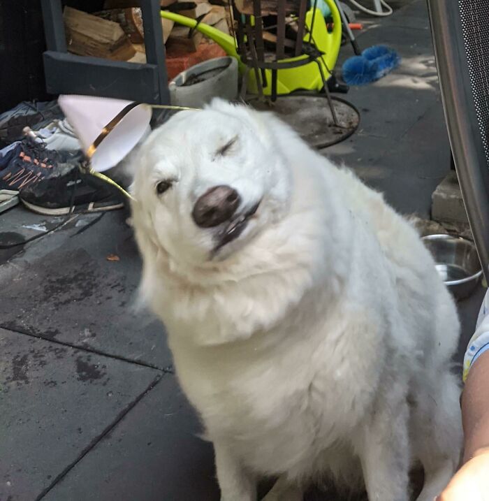 47 Times People Tried To Take A Photo And Ended Up With A Way Better Pic Than They Expected