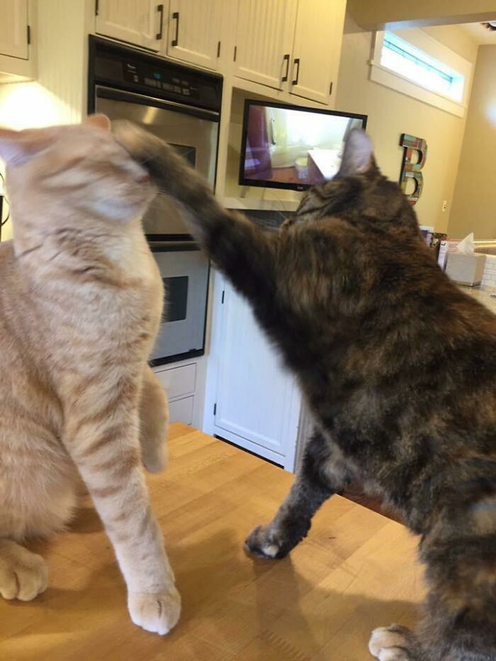 47 Times People Tried To Take A Photo And Ended Up With A Way Better Pic Than They Expected