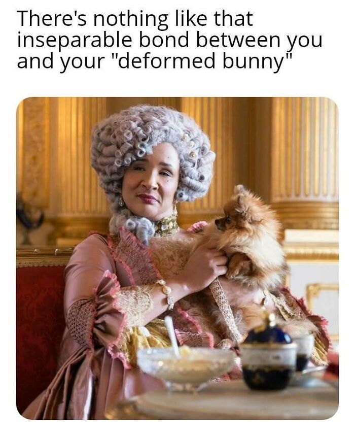 “Dearest Gentle Reader”: 71 Bridgerton Memes That Fans Of The Show Might Love “Dearest Gentle Reader”: 71 Bridgerton Memes That Fans Of The Show Might Love