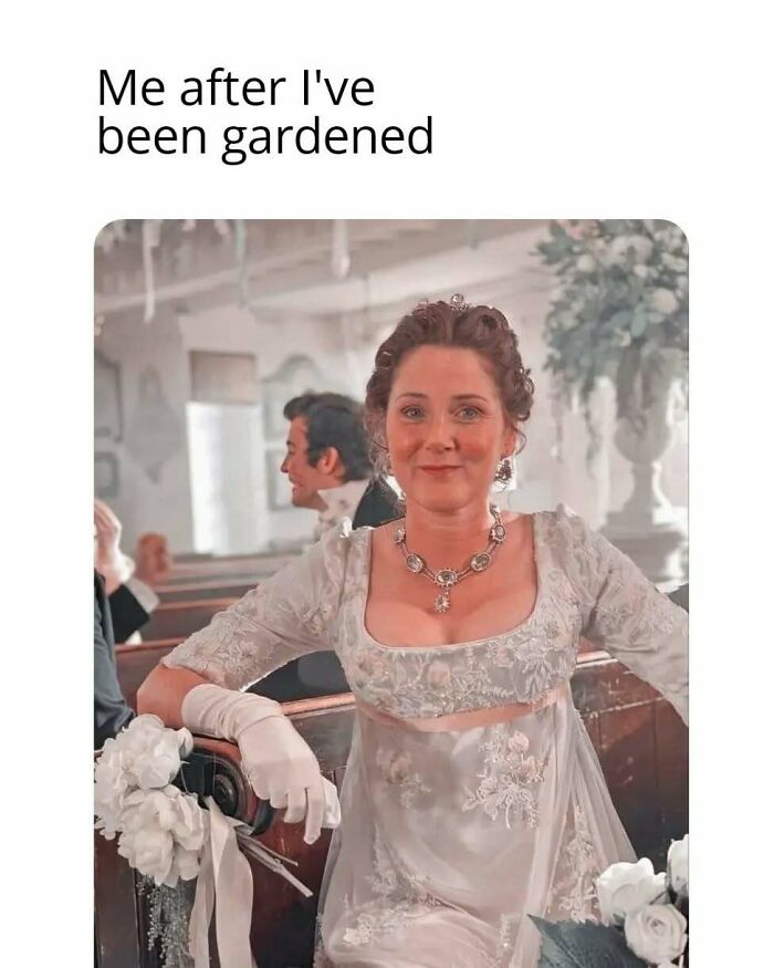 “Dearest Gentle Reader”: 71 Bridgerton Memes That Fans Of The Show Might Love “Dearest Gentle Reader”: 71 Bridgerton Memes That Fans Of The Show Might Love