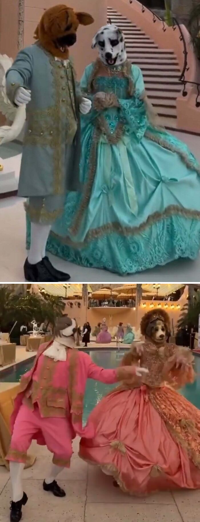 73 Times People Didn’t Realize How Cringe They Were Being (New Pics) 73 Times People Didn’t Realize How Cringe They Were Being (New Pics)