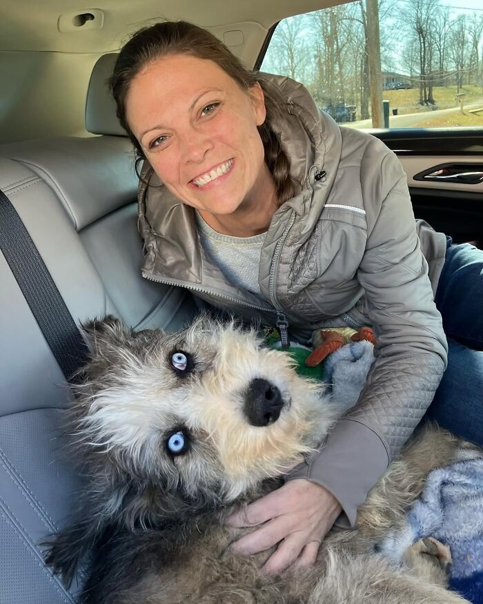 Disabled Dog Named Einstein Found Love And Care In His Forever Home Disabled Dog Named Einstein Found Love And Care In His Forever Home