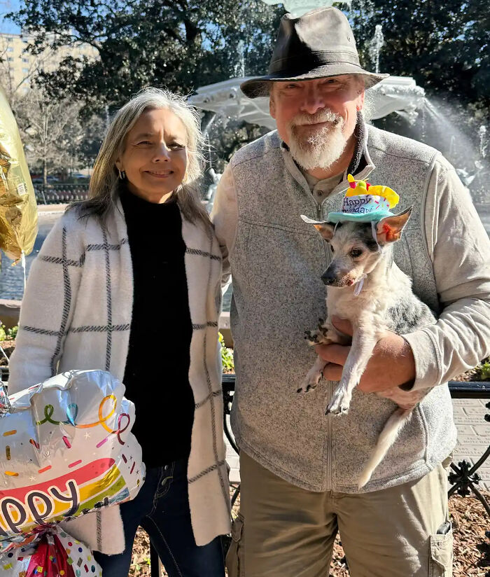 This 25-Year-Old Rescue Dog Is Spending His Golden Years Helping Senior Shelter Pets This 25-Year-Old Rescue Dog Is Spending His Golden Years Helping Senior Shelter Pets