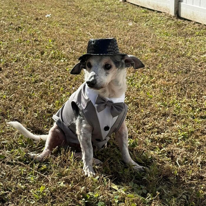 This 25-Year-Old Rescue Dog Is Spending His Golden Years Helping Senior Shelter Pets This 25-Year-Old Rescue Dog Is Spending His Golden Years Helping Senior Shelter Pets