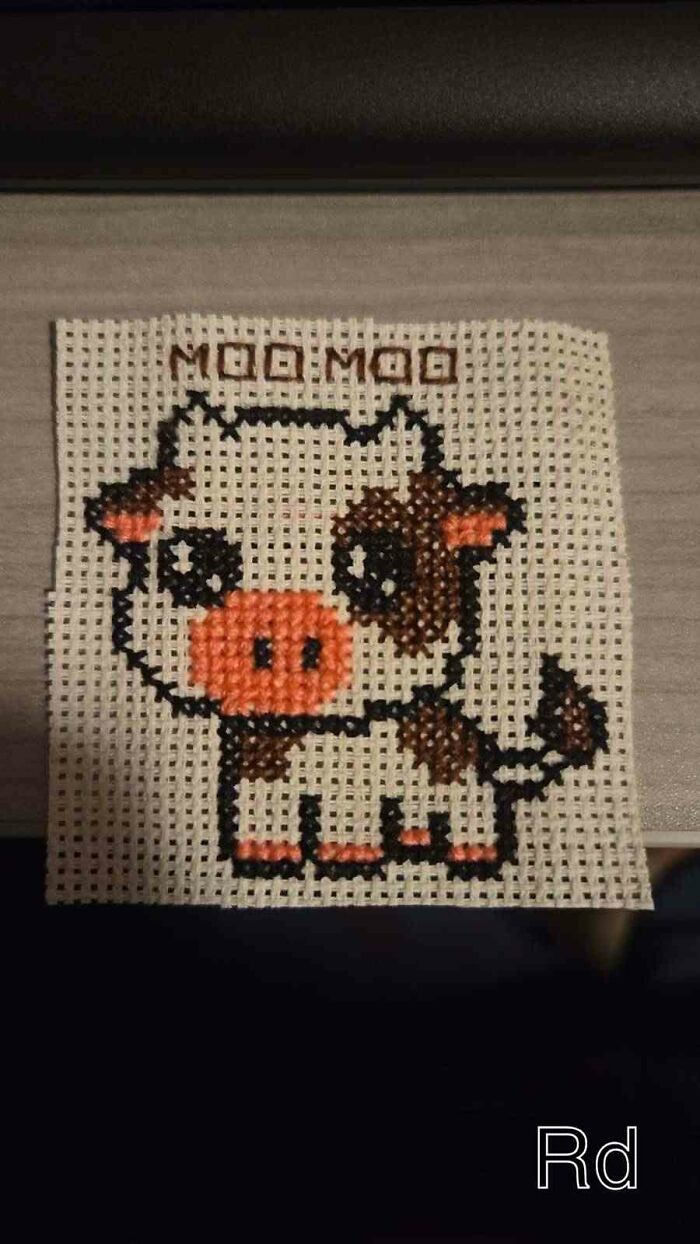 I Spend My Extra Time Cross Stitching For My Family (10 Pics)