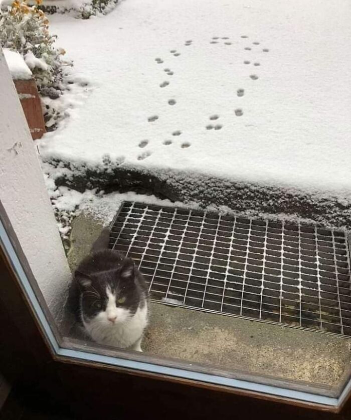 No Time To Read? 50 Funny Photos That Say It All Instantly