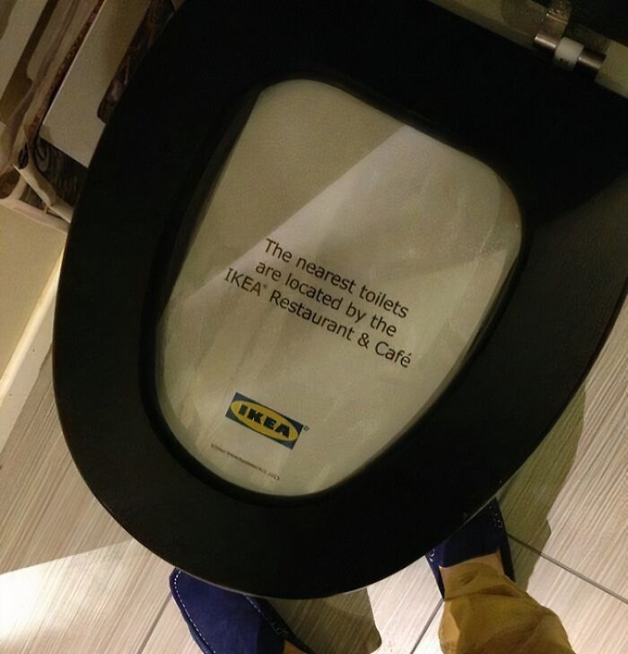 No Time To Read? 50 Funny Photos That Say It All Instantly