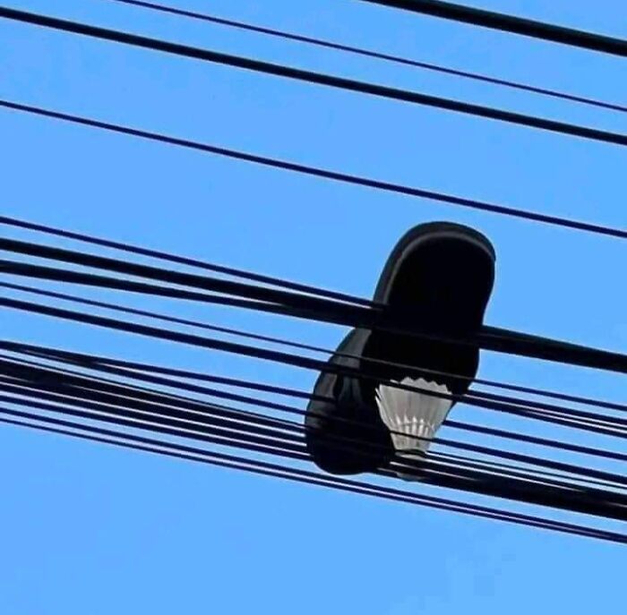 No Time To Read? 50 Funny Photos That Say It All Instantly