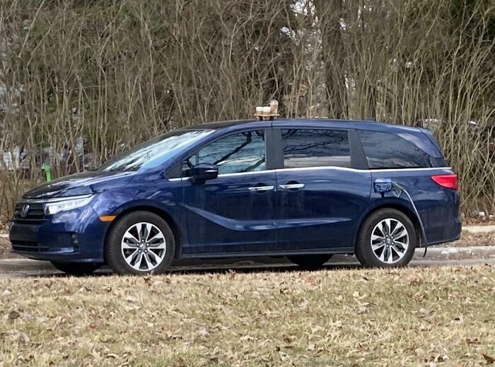 No Time To Read? 50 Funny Photos That Say It All Instantly