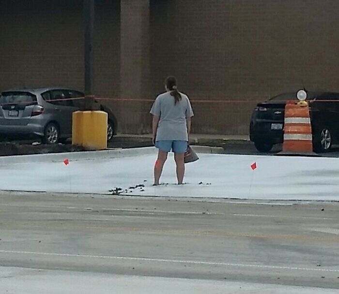 No Time To Read? 50 Funny Photos That Say It All Instantly