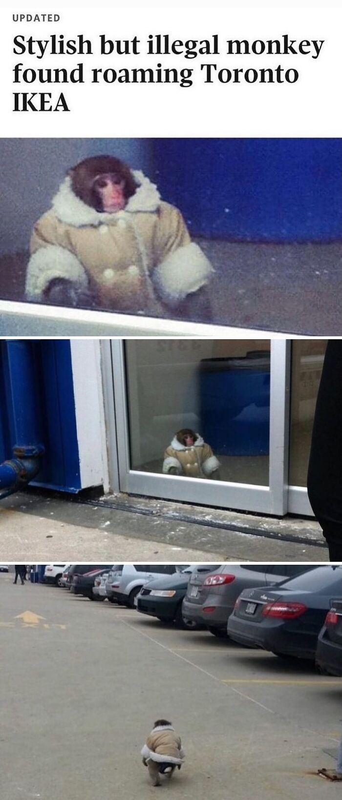 80 Weirdly Hilarious Images To Improve Your Feed As Well As Your Mood 80 Weirdly Hilarious Images To Improve Your Feed As Well As Your Mood