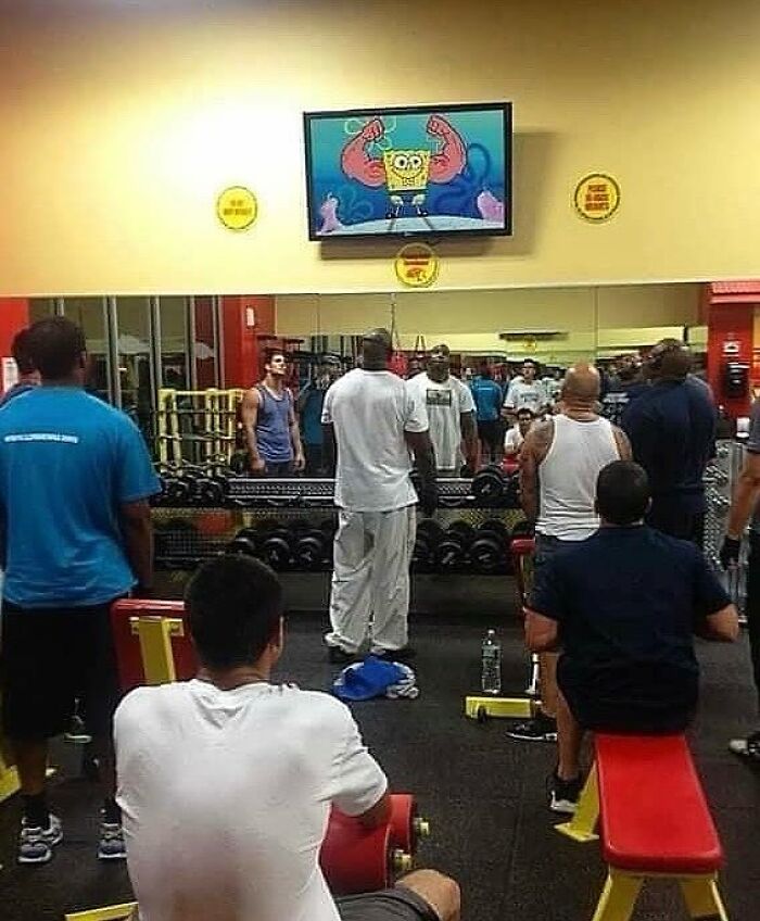 80 Weirdly Hilarious Images To Improve Your Feed As Well As Your Mood 80 Weirdly Hilarious Images To Improve Your Feed As Well As Your Mood