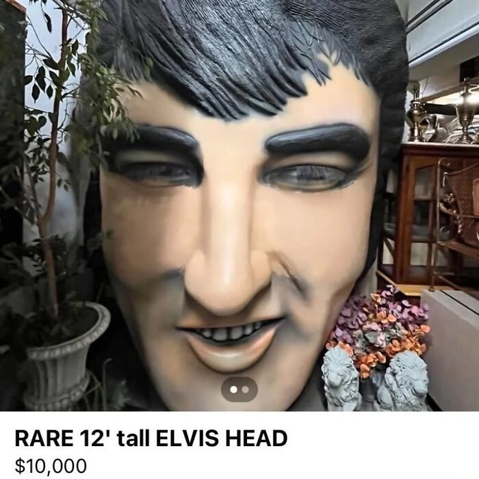 80 Weirdly Hilarious Images To Improve Your Feed As Well As Your Mood 80 Weirdly Hilarious Images To Improve Your Feed As Well As Your Mood