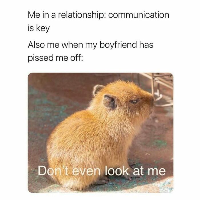 109 Cute And Wholesome Posts, As Shared By This Dedicated Page For Girlies 109 Cute And Wholesome Posts, As Shared By This Dedicated Page For Girlies