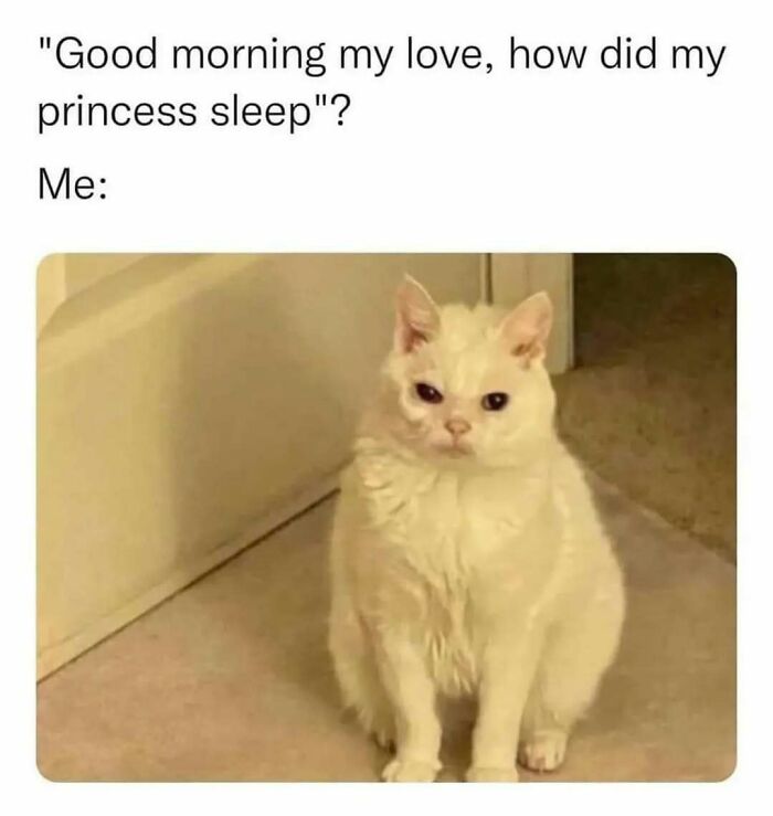 109 Cute And Wholesome Posts, As Shared By This Dedicated Page For Girlies 109 Cute And Wholesome Posts, As Shared By This Dedicated Page For Girlies