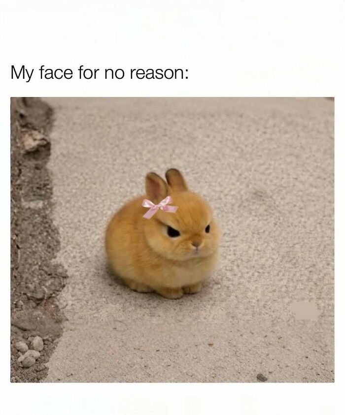 109 Cute And Wholesome Posts, As Shared By This Dedicated Page For Girlies 109 Cute And Wholesome Posts, As Shared By This Dedicated Page For Girlies