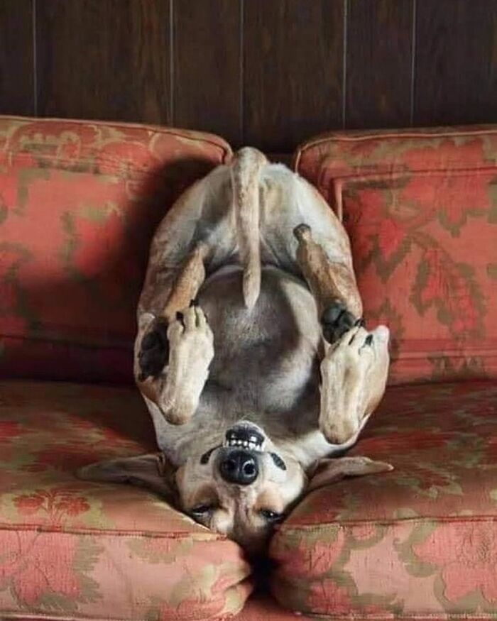 The Best Of Nature: 40 Stunning Animal Images Shared By This Page