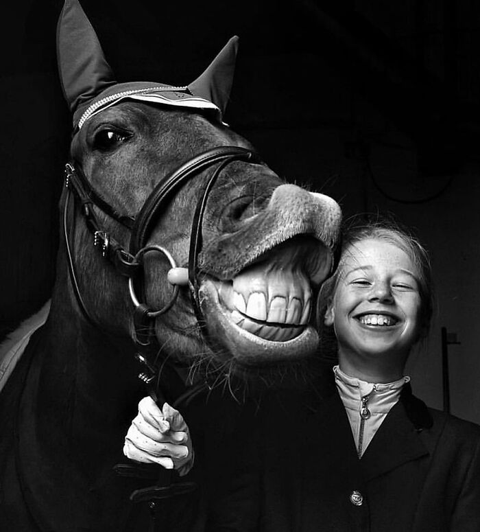 The Best Of Nature: 40 Stunning Animal Images Shared By This Page