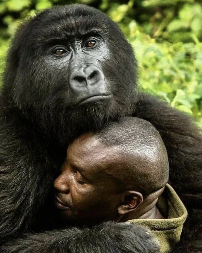 The Best Of Nature: 40 Stunning Animal Images Shared By This Page