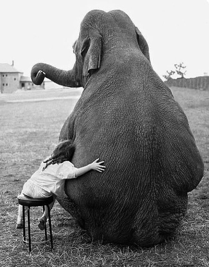 The Best Of Nature: 40 Stunning Animal Images Shared By This Page