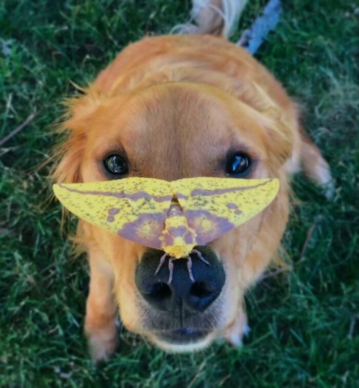 The Best Of Nature: 40 Stunning Animal Images Shared By This Page