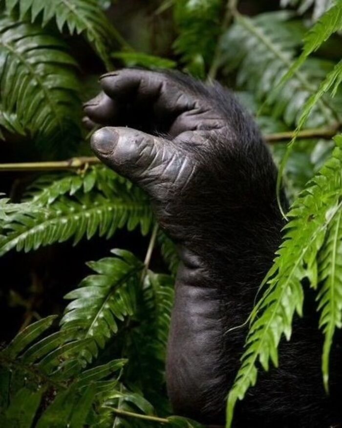 The Best Of Nature: 40 Stunning Animal Images Shared By This Page