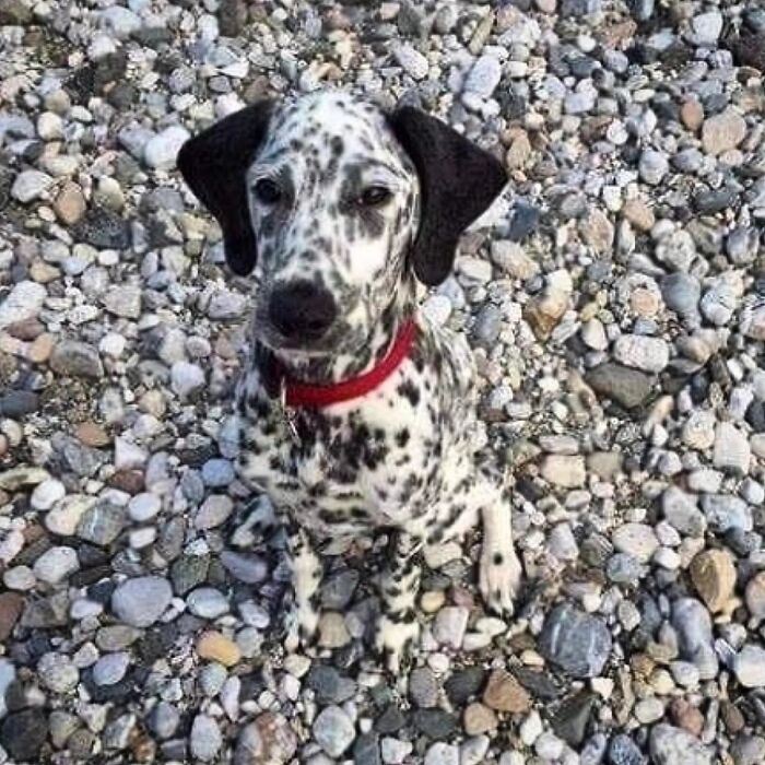 The Best Of Nature: 40 Stunning Animal Images Shared By This Page