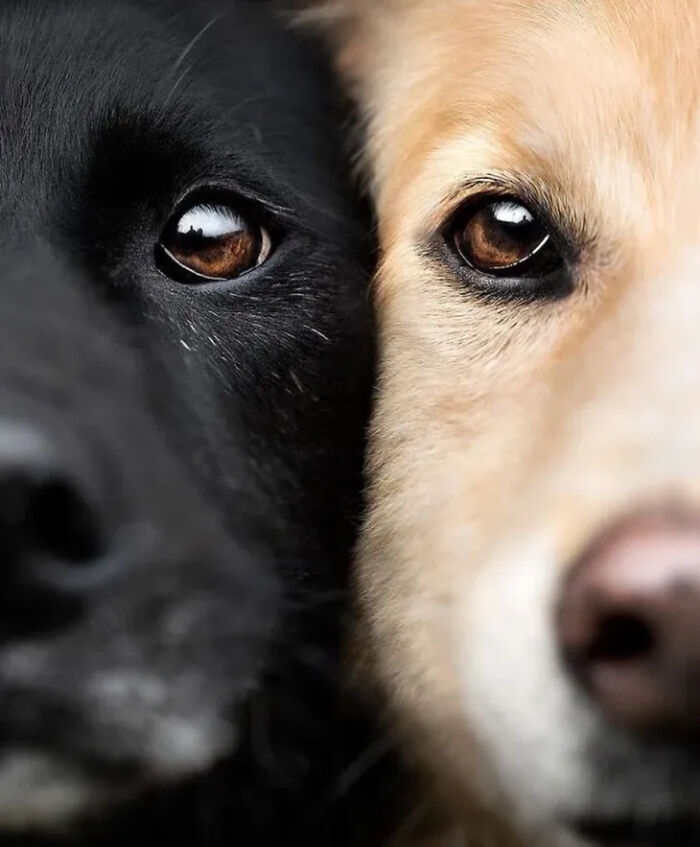 The Best Of Nature: 40 Stunning Animal Images Shared By This Page