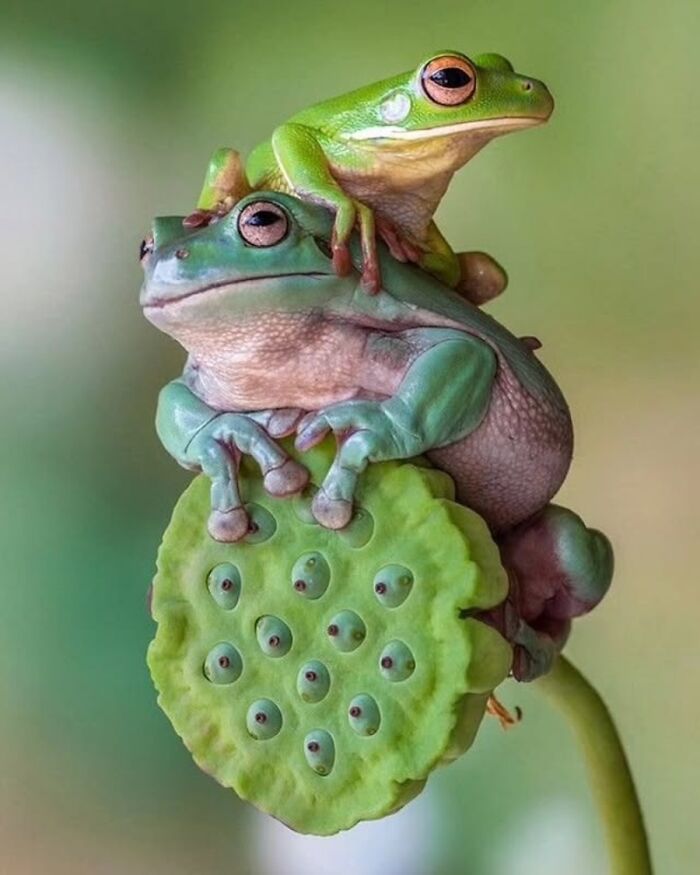 The Best Of Nature: 40 Stunning Animal Images Shared By This Page