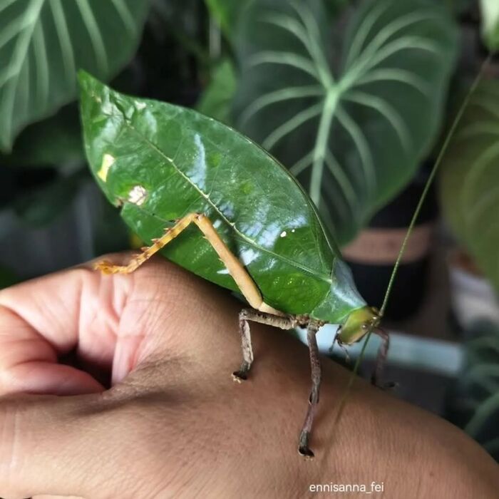 The Best Of Nature: 40 Stunning Animal Images Shared By This Page