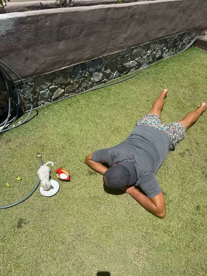 This Guy Thought He Was A &ldquo;Dog Person&rdquo; Until Rescue Kitten Lilo Changed His Mind