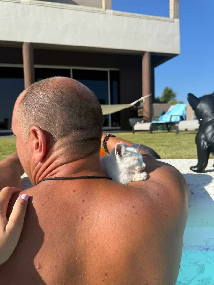 This Guy Thought He Was A &ldquo;Dog Person&rdquo; Until Rescue Kitten Lilo Changed His Mind